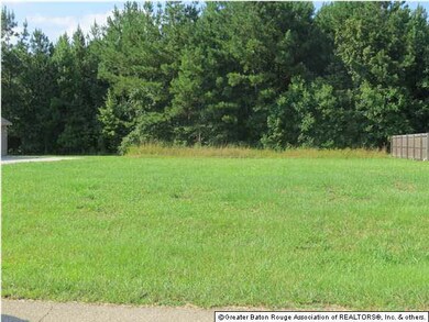 Ready to build on, lot in Spring Lake