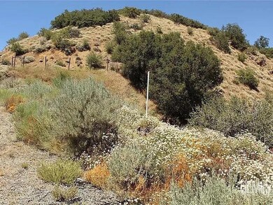 17930 Mountain Climber Way, Tehachapi, CA 93561 - photo 4