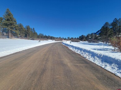 237 Saddle Camp Ct, Durango, CO 81301 - photo 3