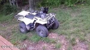 bear by 4wheeler pic
