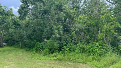 0 County Road 429, Brazoria, TX 77422 - photo 6