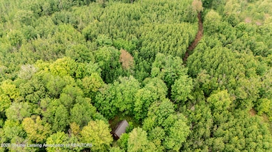 13505 7 Mile Rd, Evart, MI 49631 - photo 5