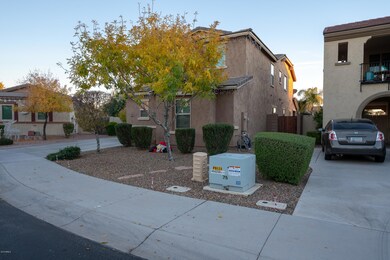 Front Yard
