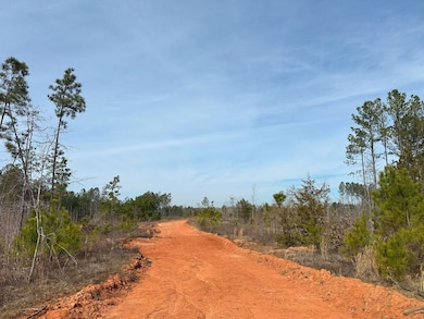 0 Old Middleton Rd unit 22775401, Elberton, GA 30635 - photo 4