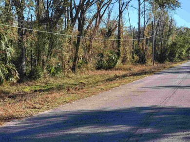 00 Pharo Morgan Rd, Perry, FL 32347 - photo 6