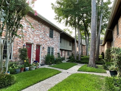 Matured Court Yard