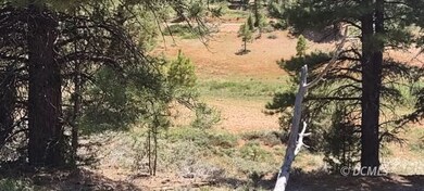 Middle of property