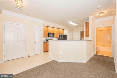 1405 Wigeon Way unit 206, Gambrills, MD 21054 - photo 2
