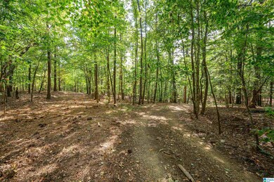 00 Deer Run Rd, Alabaster, AL 35007 - photo 5