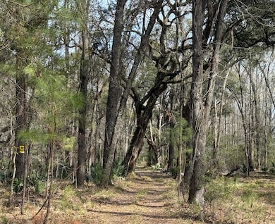 0 Dressen Rd unit 22893184, Hardeeville, SC 29927 - photo 3