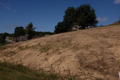 60 Green Cove Dr, London, KY 40744 - photo 7