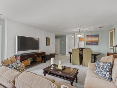 97 Anderer Ln unit 204, West Roxbury, MA 02132 - photo 3