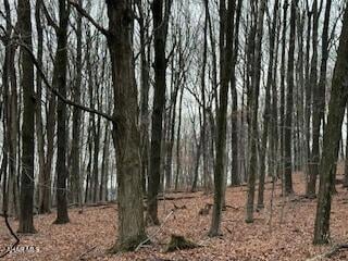 341 Duvall Cemetery Rd, Broad Top Township, PA 16679 - photo 5