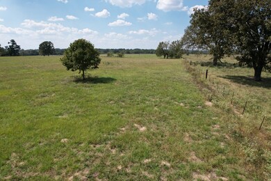 TBD-B County Road 435, Frankston, TX 75763 - photo 5