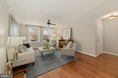 4717 31st St S unit B2, Arlington, VA 22206 - photo 4