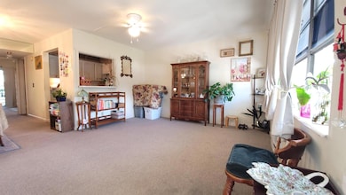 159 Cambridge G unit 1590, West Palm Beach, FL 33417 - photo 5