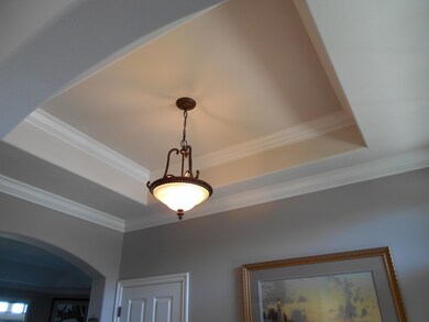 Tray ceiling in entry
