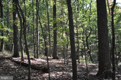 0 Highland Ridge Rd unit 1000167645, Berkeley Springs, WV 25411 - photo 7