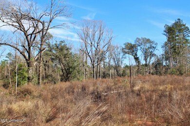 2.32ac Crabapple Ln, Lucedale, MS 39452 - photo 2