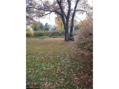 north side of backyard