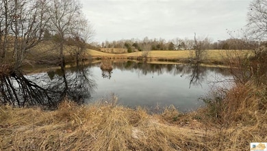 3720 Highway 566, Magnolia, KY 42757 - photo 7