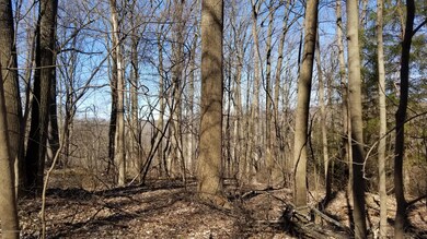 1571 Totts Gap Rd, Stroudsburg, PA 18360 - photo 6