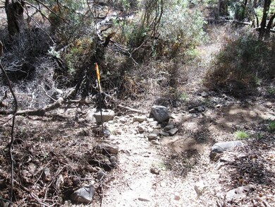 MONUMENT IN CREEK BED