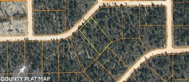 0 Jackson Rd unit 776995, Marianna, FL 32448 - photo 5