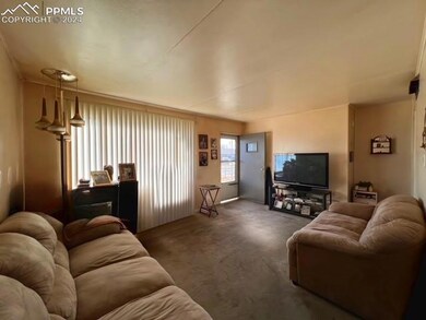 Living room with dark carpet