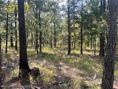 Tract 8 River Rd, Whitesboro, OK 74577 - photo 4