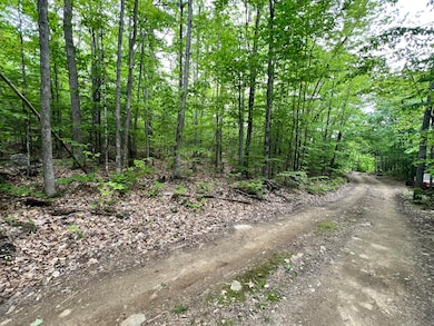 Road View 2