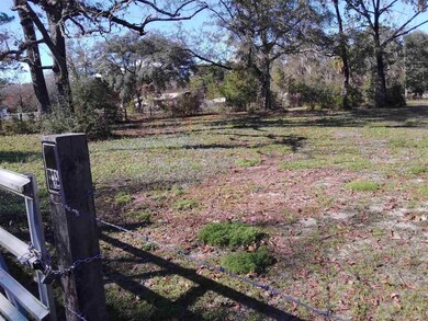 718 Shadeville Rd, Crawfordville, FL 32327 - photo 7