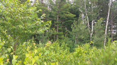 Lot 34 Sanko Dr, Olyphant, PA 18447 - photo 4