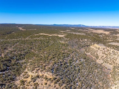 0 Nsn Forest Road 131 C unit 25747171, Tierra Amarilla, NM 87551 - photo 6