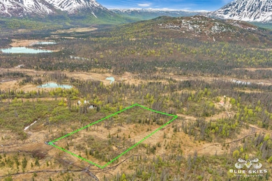 E Round Top Rd, Talkeetna, AK 99676 - photo 2