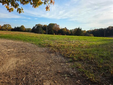 000 State Highway Bb, Saddlebrooke, MO 65630 - photo 3
