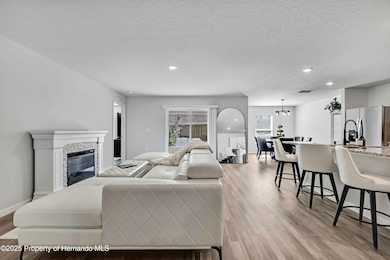 5334 Woodridge Ln, Spring Hill, FL 34609 - photo 4