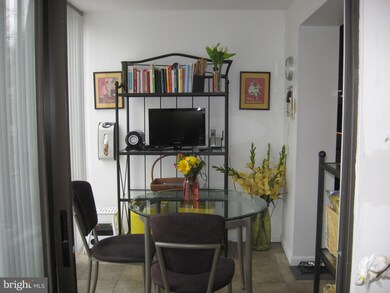 6350 Red Cedar Place unit 311, Baltimore, MD 21209 - photo 6