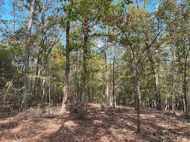 50 Hearthstone Dr, Carlton, GA 30627 - photo 6