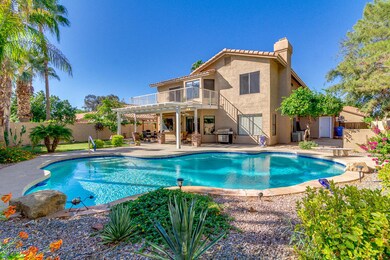 Back yard delight