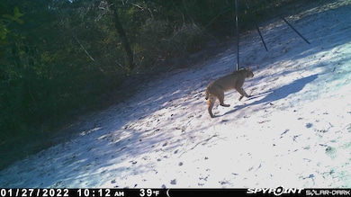 278 Private Road 5787a, Groesbeck, TX 76642 - photo 3