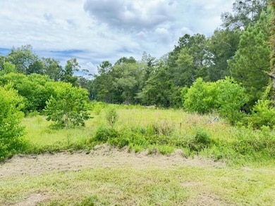 503 Shirley Loop, Deridder, LA 70634 - photo 4