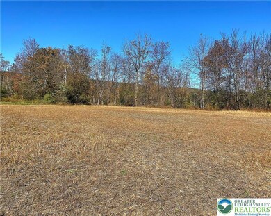 4036 Allemaengel Rd, New Tripoli, PA 18066 - photo 2