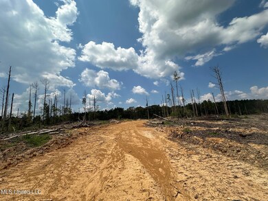 0 Whitetown Ln, Hazlehurst, MS 39083 - photo 6