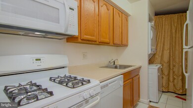 Chestnut Grove Condominiums unit 164, Reston, VA 20190 - photo 7