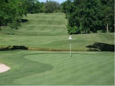 17133 Woodlawn Dr, Whitney, TX 76692 - photo 3