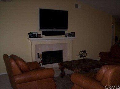 Great room close-up of your wood-burning or gas lo