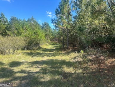 0 Tram Rd, Sylvania, GA 30467 - photo 2