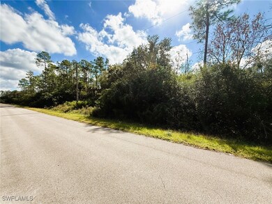 4765 28th Ave SE, Naples, FL 34117 - photo 4