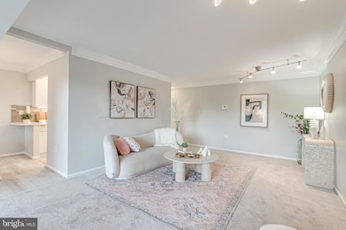 1923 Wilson Ln unit 202, McLean, VA 22102 - photo 6